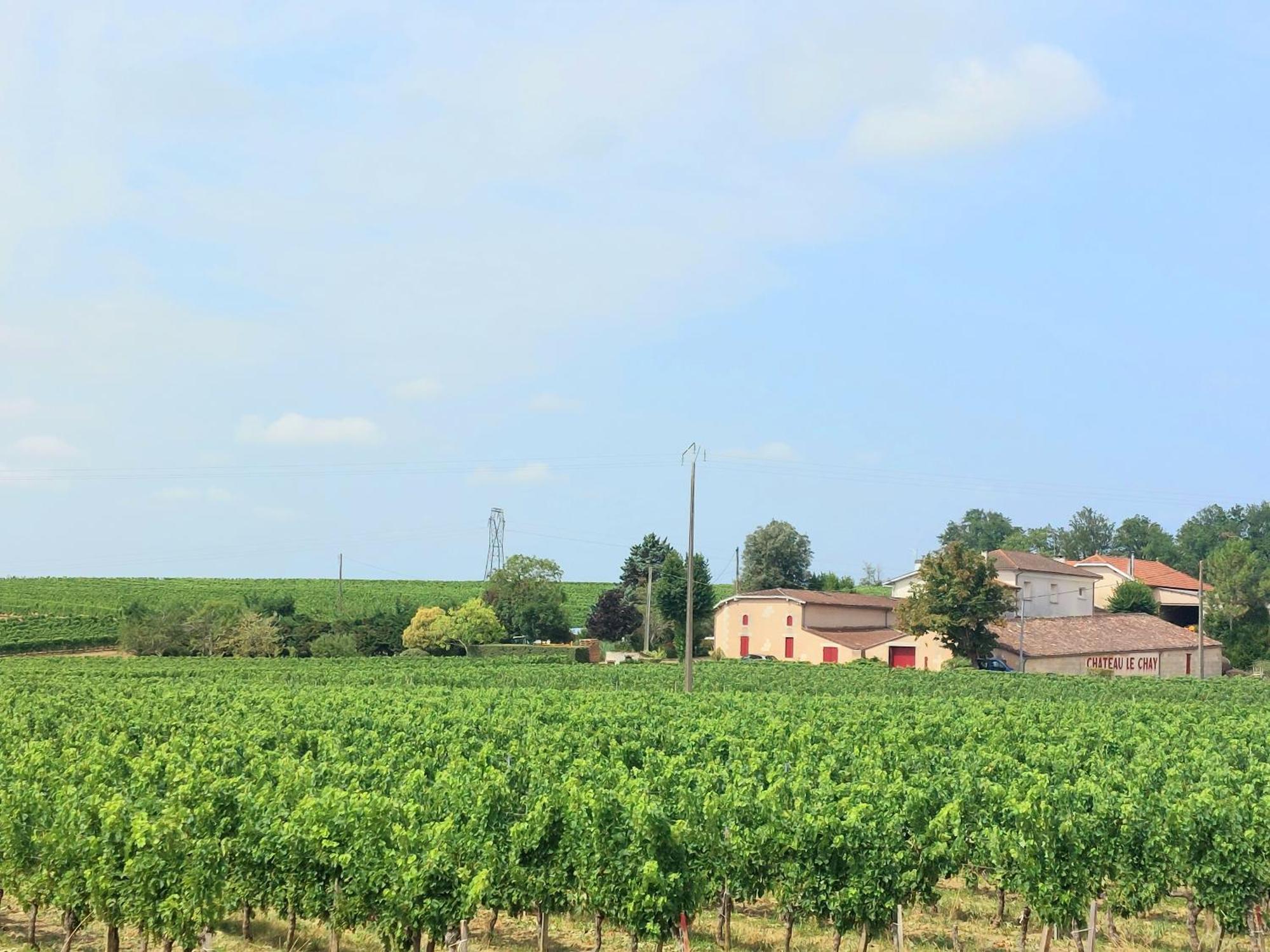 Duplex Cocoon - 10 Min De Blaye - 20 Min Cnpe - Wifi - Tv Hd Saint-Seurin-de-Cursac Exterior foto